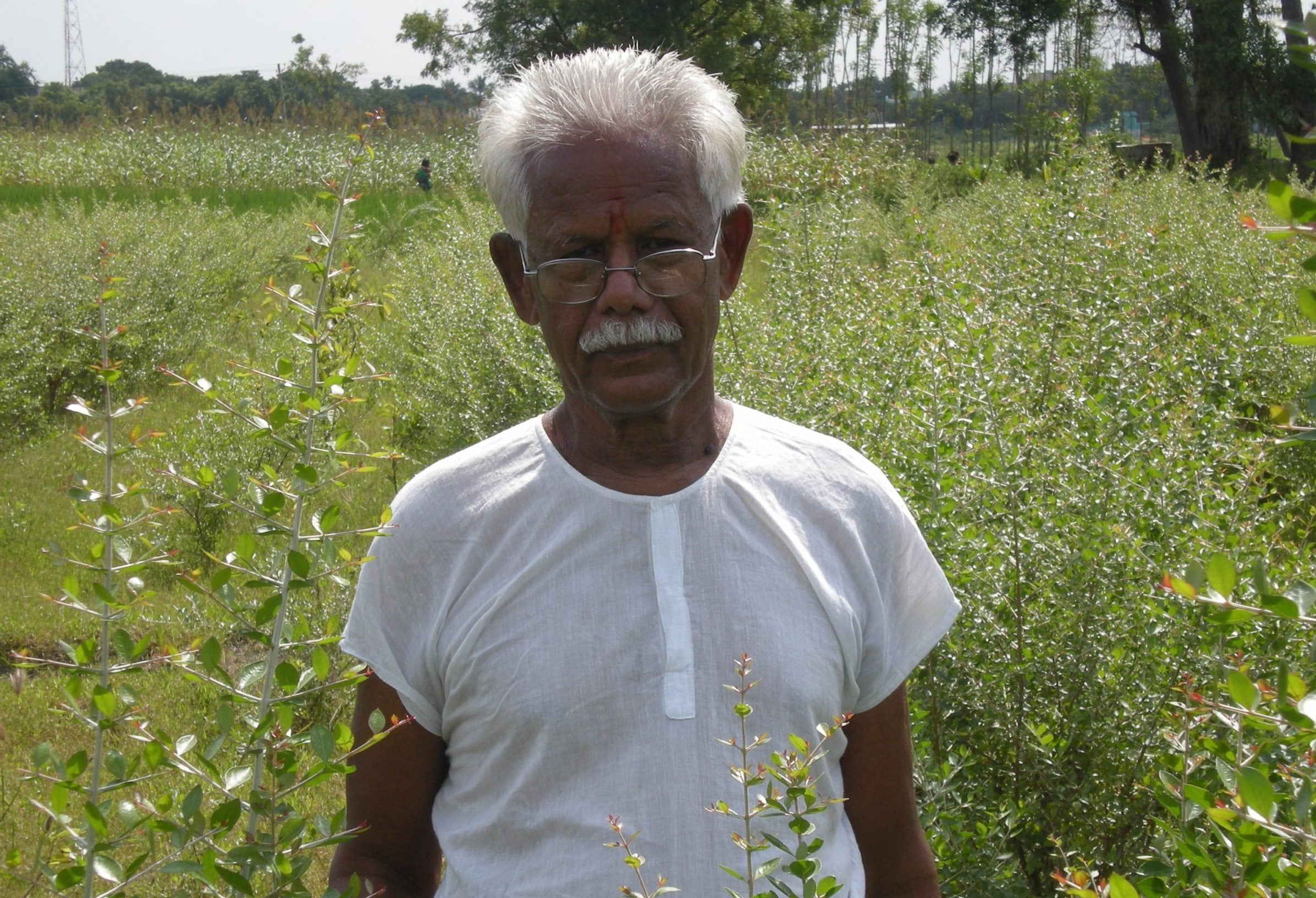 Pachai boomi Raja gobal