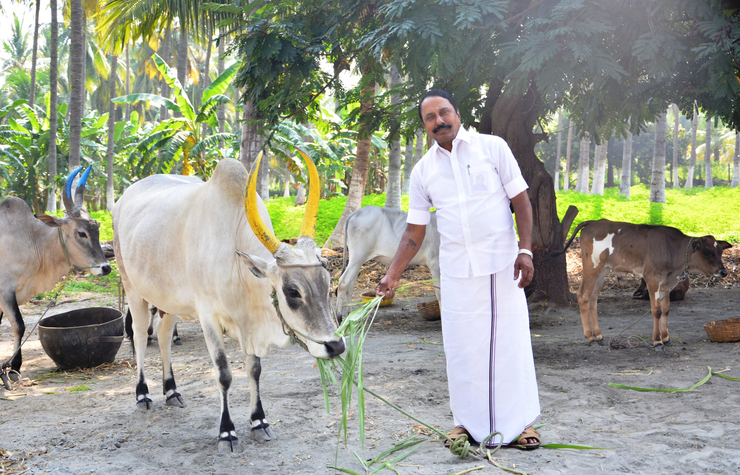 தோட்டமே எனக்கான தியான மண்டபம்!