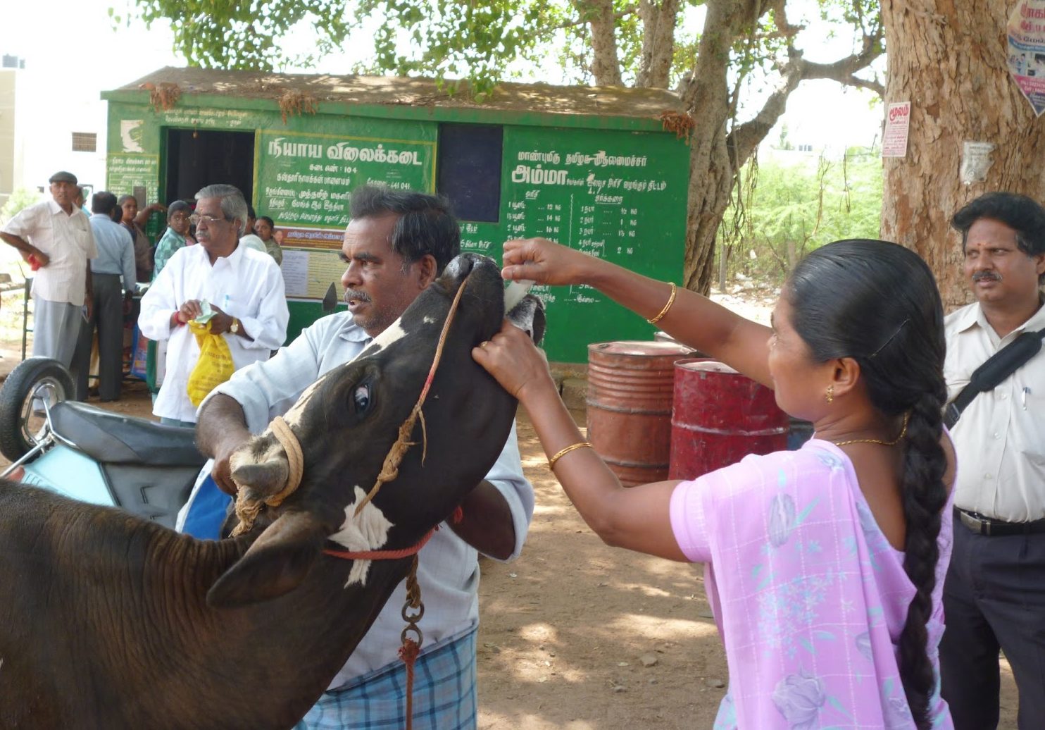 கால்நடை மருத்துவத்தில் மங்கையர் திலகங்கள்!