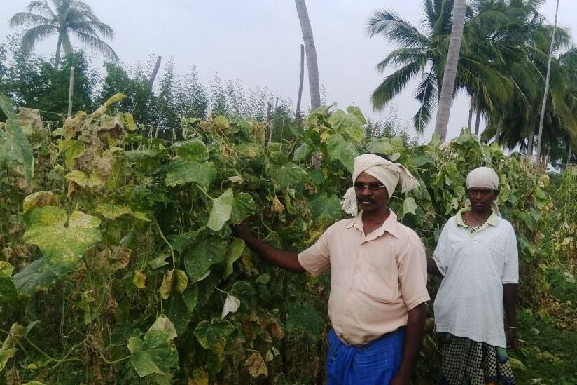 இரவு நேரத்திலும் நிலத்தில் வேலை செய்வோம்!