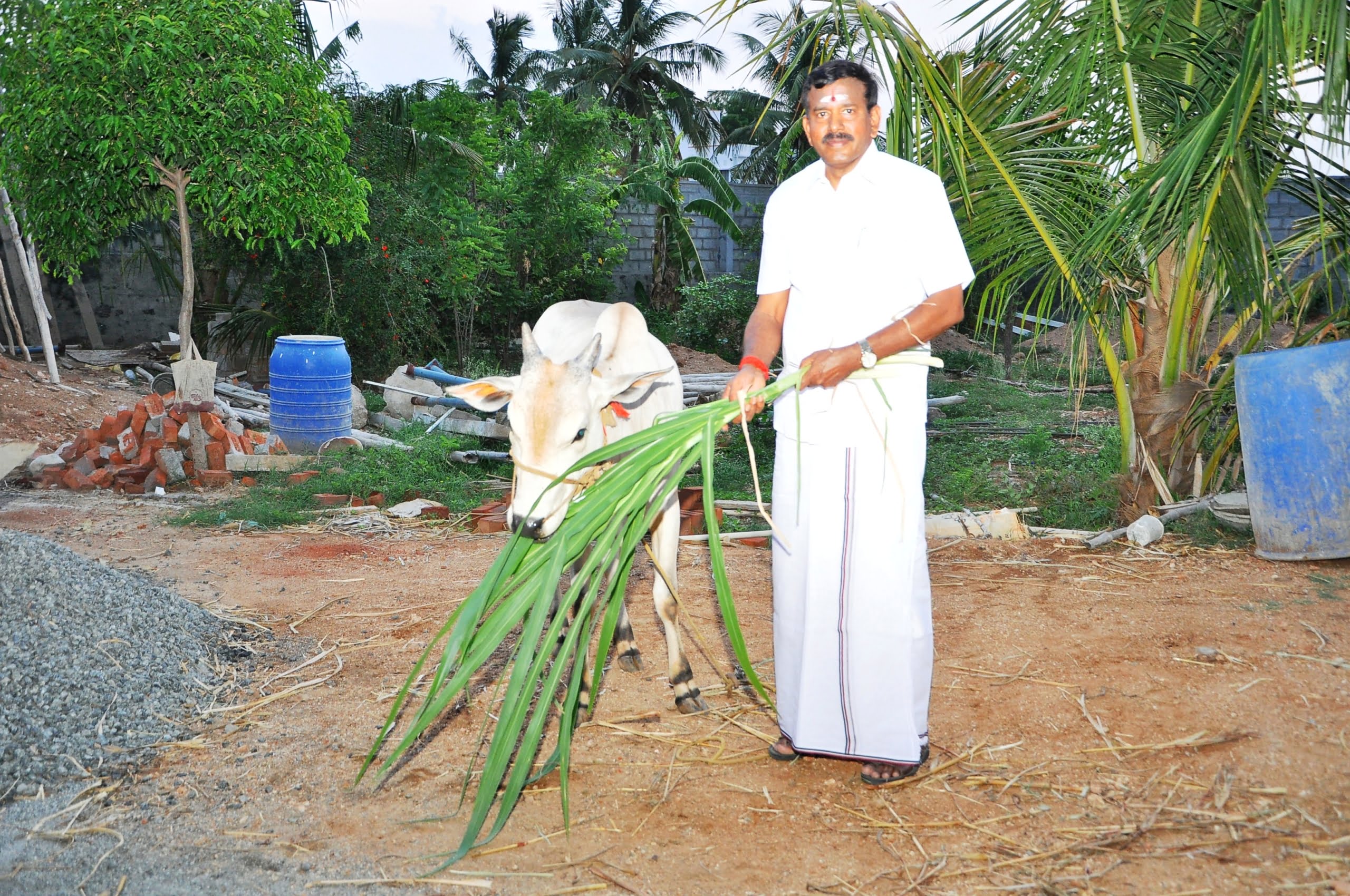 நல்ல நீர் கிடைக்க என்ன செய்ய வேண்டும்?