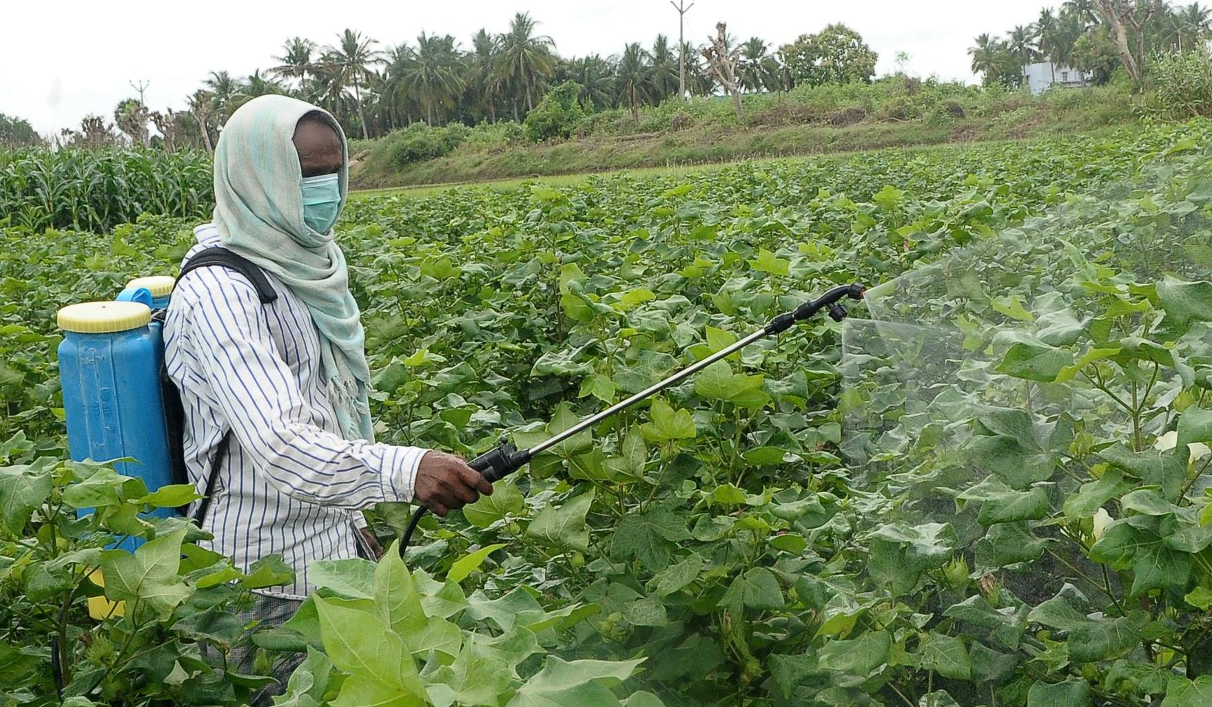 விசைத் தெளிப்பானைக் கையாளும் முறைகள்!