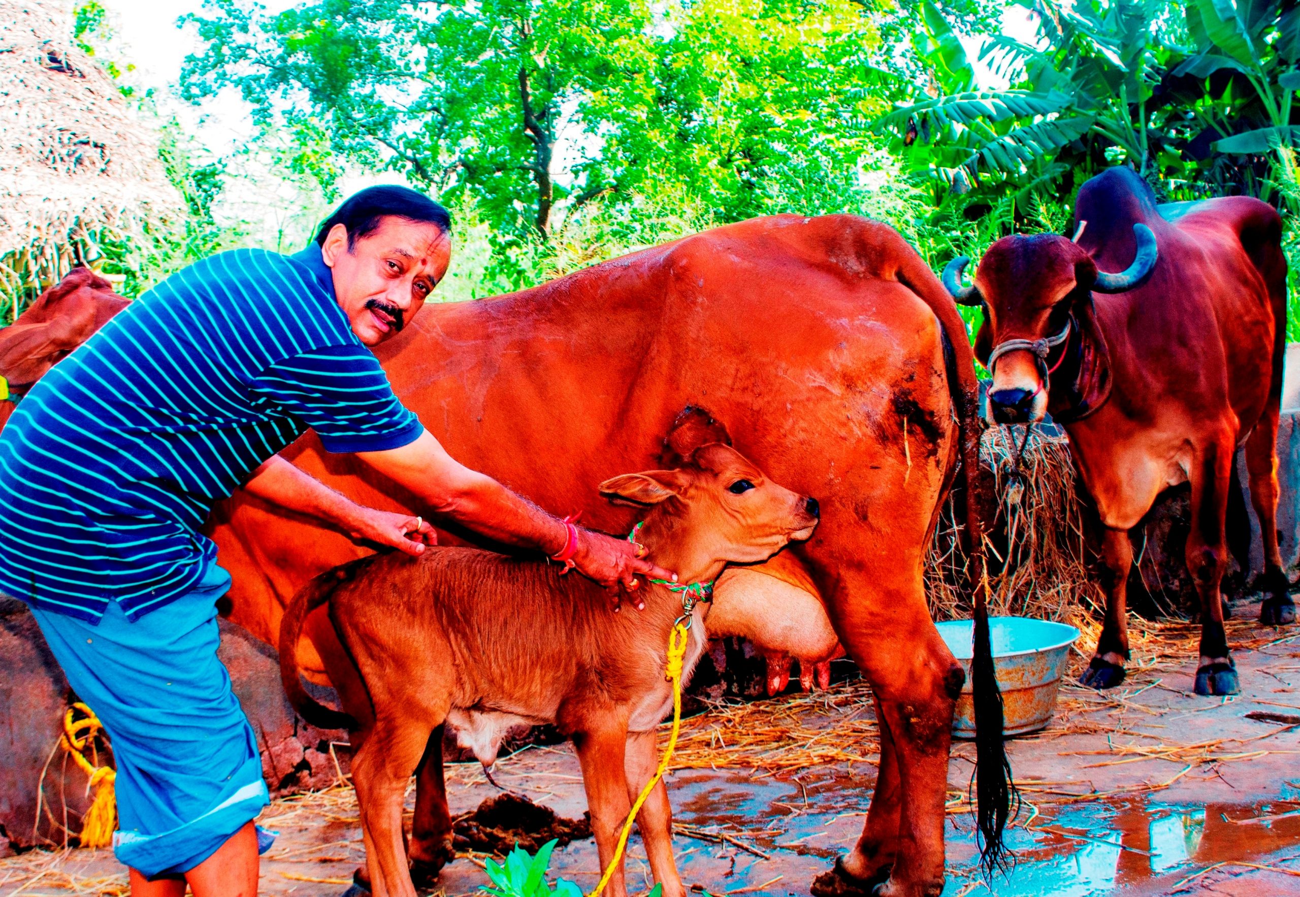 எச்.ராஜாவின் இந்த முகம் எத்தனை பேருக்குத் தெரியும்?