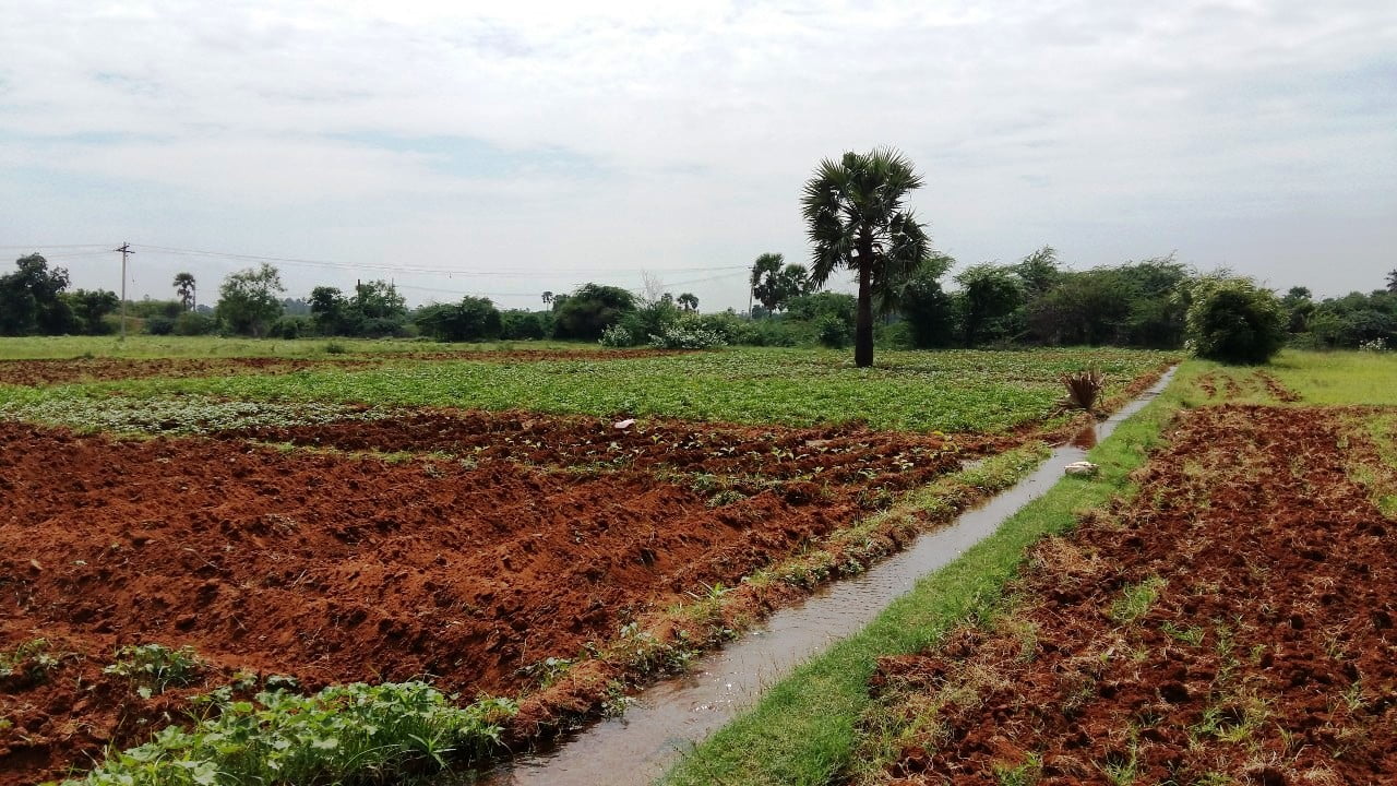 நிலத்தை வளமாக்கும் அருமையான உரங்களைத் தயாரிப்பது எப்படி?