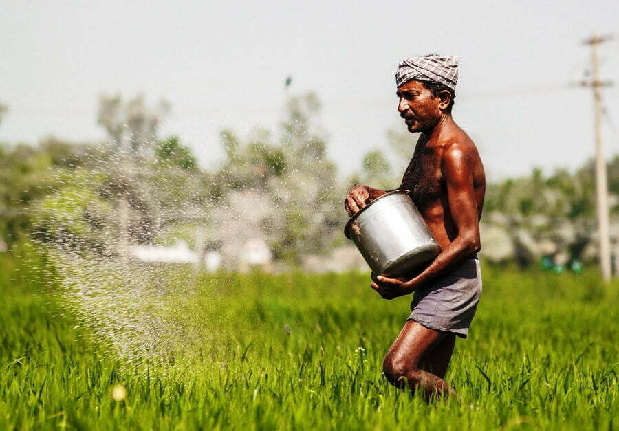 பயிர்க் காப்பீடு செய்ய விவசாயிகளுக்கு அழைப்பு!