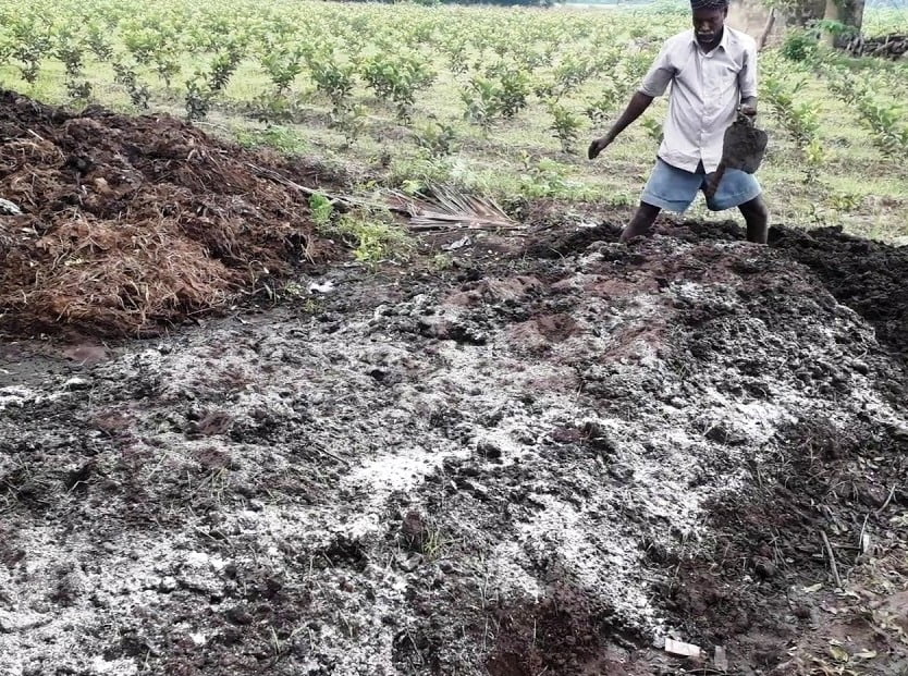 பயிருக்கு மணிச்சத்தைத் தரும் ஊட்டமேற்றிய தொழுவுரம்!