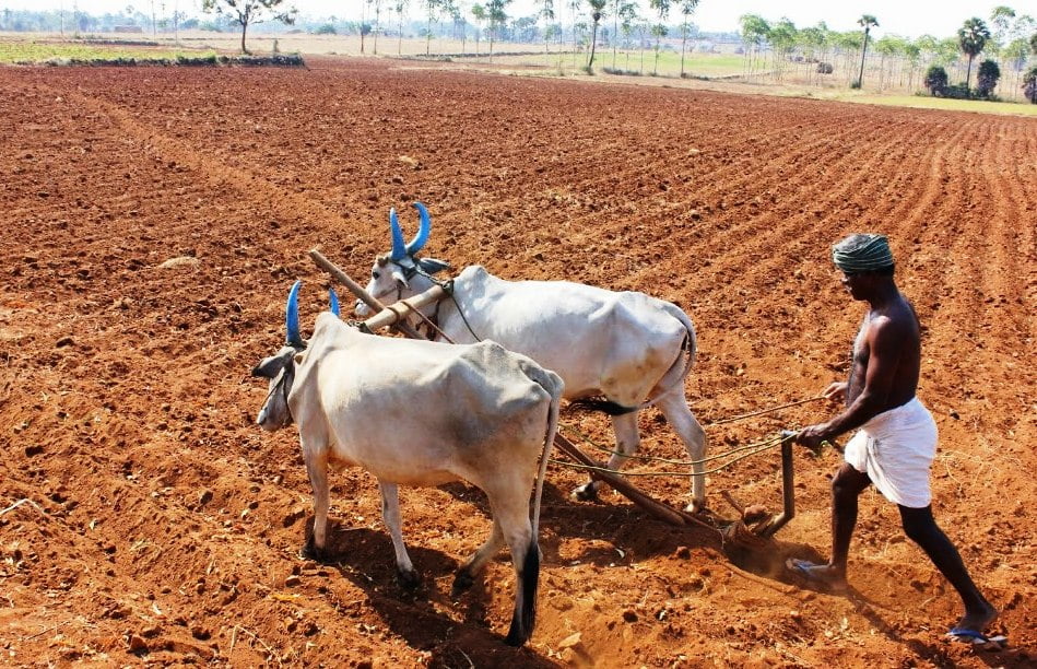 கோடையுழவு செய்ய விவசாயிகளுக்கு ஆலோசனை!