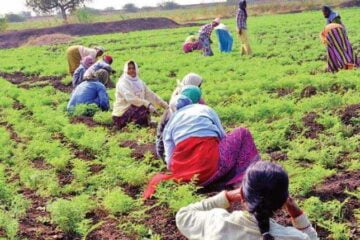 கிராமத்து உயிர்களின் நடமாட்டம் இருக்க வேண்டும்!