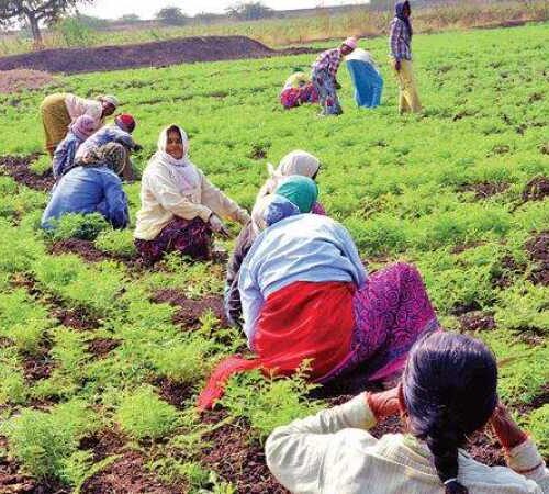 கிராமத்து உயிர்களின் நடமாட்டம் இருக்க வேண்டும்!