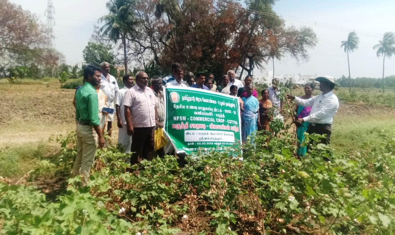 இராஜபாளையம் வட்டார விவசாயிகளுக்குப் பருத்தி சாகுபடி பயிற்சி!