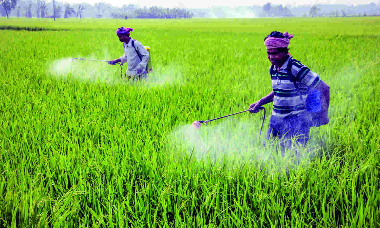 பயிர்ப் பாதுகாப்பு மருந்துகளைக் கையாளும் முறைகள்!