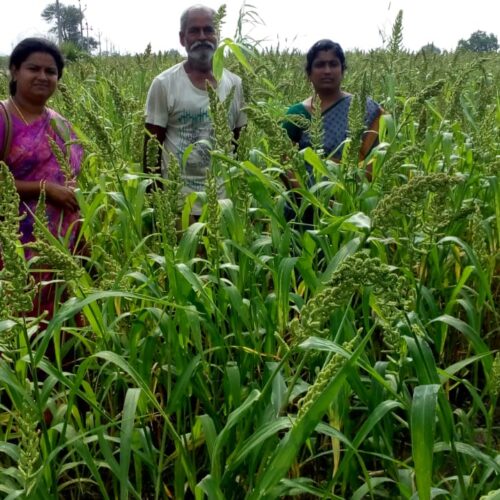 பாரம்பரிய வேளாண்மை வளர்ச்சித் திட்டம்!