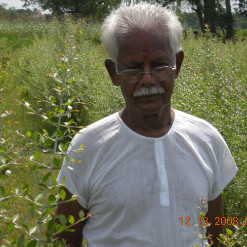 மானாவாரி சாகுபடிக்கு ஏற்ற மருதாணி!