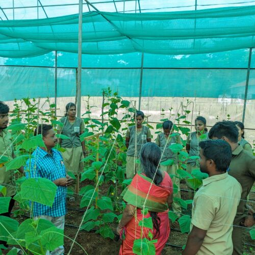 அனுபவப் பயிற்சிக் கல்வித் திட்டத்தில் தோட்டக்கலை மாணவர்கள்!