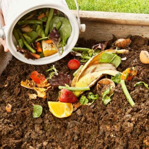 Making Organic Fertilizer from Household Waste