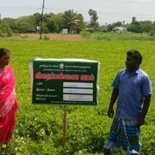 விதைப் பண்ணை அமைக்க விவசாயிகளுக்கு அழைப்பு!