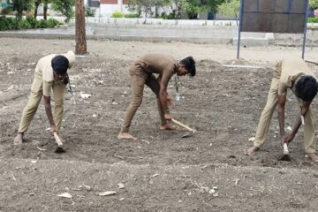 பழமையான விதைப் படுக்கையின் முக்கியத்துவம்!